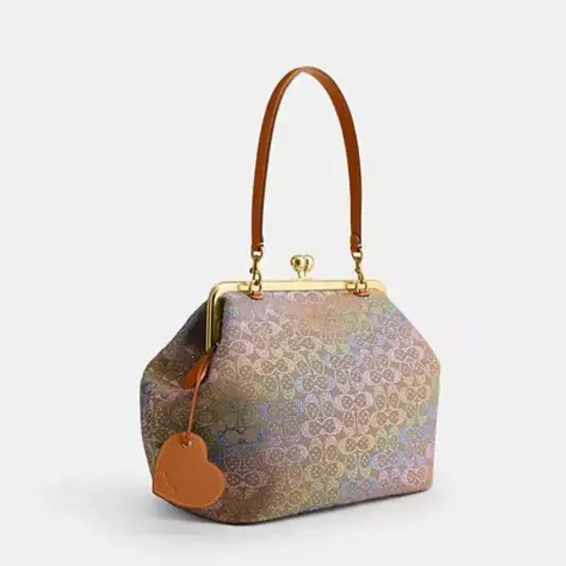 Large Rainbow Kisslock Bag